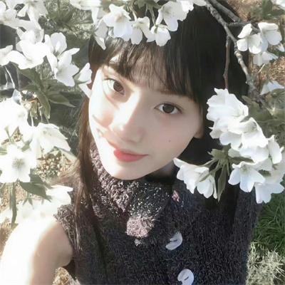铳梦：战斗天使