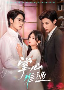 我的留级岳父 封面图